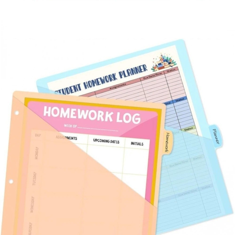 8 pcs A4 Pastel Binder Divider - đánh giá và giá Tab Divider A4